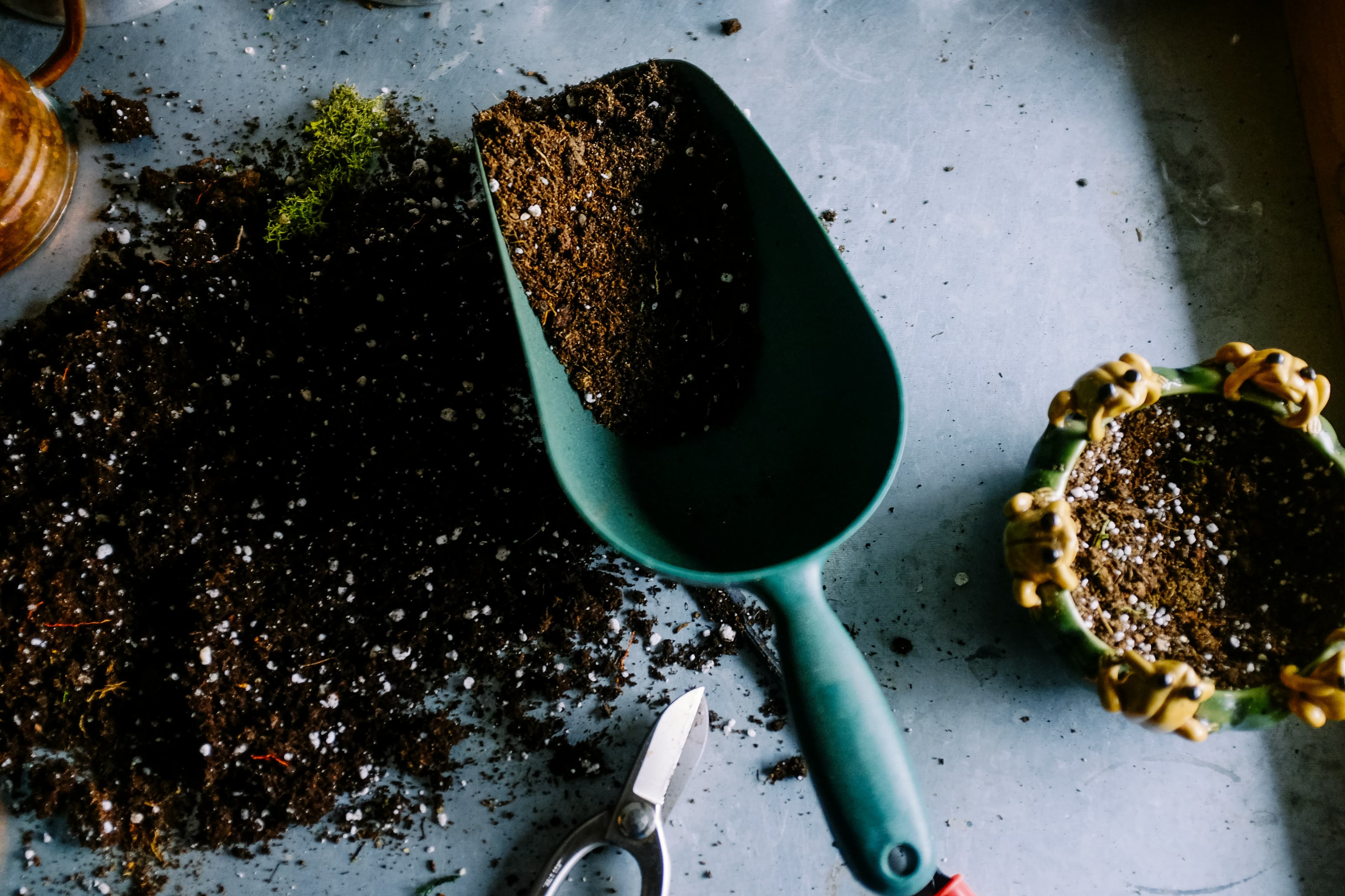 Coco Peat & Coir Pith
